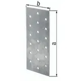 GAH Alberts Lochplatte 200 x 100 x 2 mm