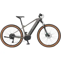 Prophete Dice 3.0 2023 29 Zoll RH 48 cm grau/schwarz