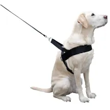 Kerbl MIAMI PLUS Geschirr 80 - 100cm, Halsriemen: 58cm/50mm, schwarz