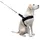 Kerbl MIAMI PLUS Geschirr 80 - 100cm, Halsriemen: 58cm/50mm, schwarz