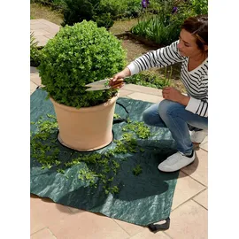 Maximex Multi-Plane Profi