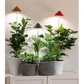 Parus by Venso SUNLiTE 7W LED Pflanzenlampe Rot