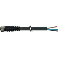 Murr Elektronik Murrelektronik M8 Buchse gerade 7000-08041-6100500