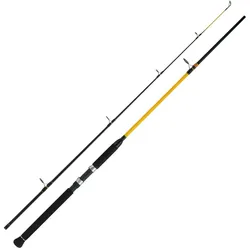 WFT Never Crack Big Fish 2,10m 150-700g Angelrute