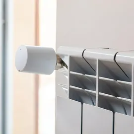 Shelly Heizkörper-Thermostat BluTRV 2 St.
