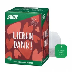 Salus Lieben Dank! Früchtetee bio (15Btl)