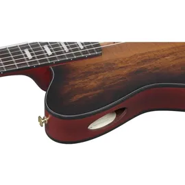 IBANEZ FRH20SMN-TCL Elektro-Akustik-Gitarre, tobacco burst low gloss