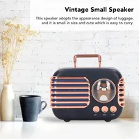 Retro Lautsprecher Cute Pet Wireless Mini Suitcase Stereo Blau CH