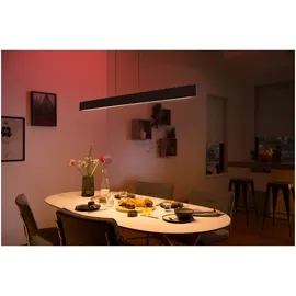 Philips Hue White & Color Ambiance Ensis schwarz