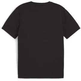 Puma teamGOAL Casuals T-Shirt schwarz XXL