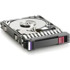 HP M6625 300 GB 2,5" 6 Gbit/s