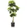bümö Bümö, Kunstpflanzen, Kunstpflanze Strahlenaralie (Schefflera) (100 cm)