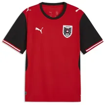 Puma Österreich Heimtrikot Replica 2026 Herren XL