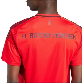 Adidas FC Bayern München 24 / 25 Heimtrikot Herren Gr. XXL