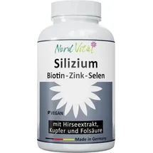 nord vital Silizium aus Bambus Kapseln 120 St.