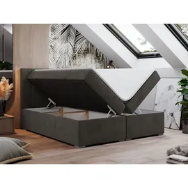 MKS Meble BOXBETT LOPE 160/200 - Dunkelgrau Velvet - H4