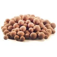 bertels b.v. Euro Pebbles 8-16 mm 10 l