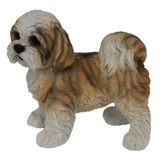 Trendline Dekofigur Shih Tzu Welpe stehend 23,5 x 14,5 x 24 cm