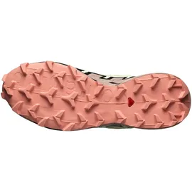 Salomon Speedcross 6 Gore-Tex Damen Lime Cream / Mahagony Rose / Black 38