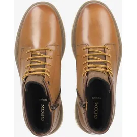 GEOX Pove Herren Braun 42