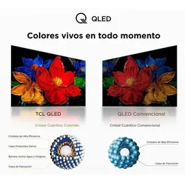 TCL 32S5K 32 Zoll QLED Full HD Android TV