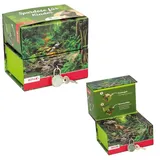 ROTH Spardose Tyrannosaurus mit Magnet und Schloss