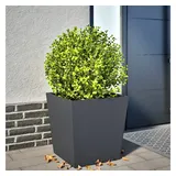vidaXL Pflanzkübel Anthrazit 50x50x50 cm Stahl