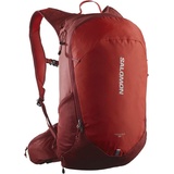 Salomon Trailblazer 20l Backpack Orange