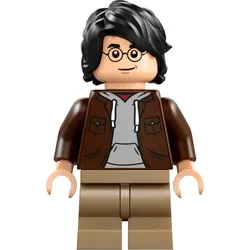 LEGO® - Harry Potter - hp467 - Harry Potter (76430)
