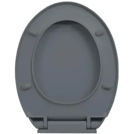 vidaXL Toilettensitz mit Absenkautomatik Grau