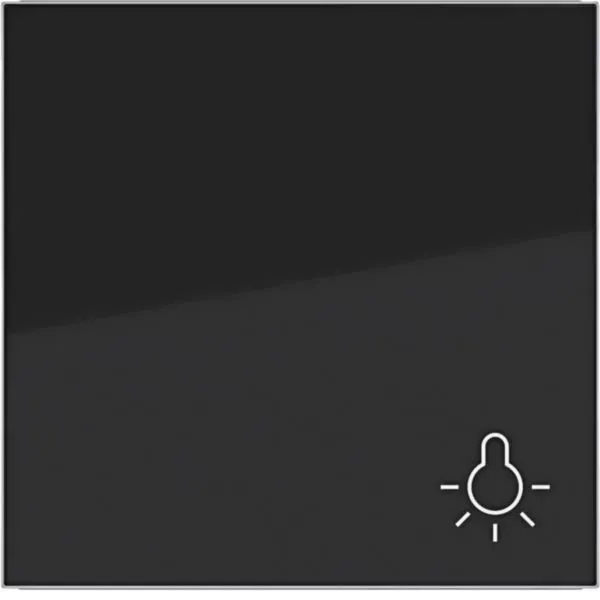 Hager WAW1012BG Wippe 1-fach mit Aufdruck Symbol Licht, A.x/C.x, nachtschwarz glänzend