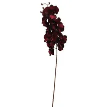 2474U Kunstblume Orchidee bordaux-rot (Orchidaceae), 2474U, Höhe 100 cm, Stielblume rot