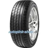 MINERVA S210 255/40 R19 100V