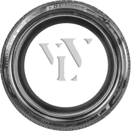 Dunlop SP Winter Sport 3D RoF 225/60 R17 99H