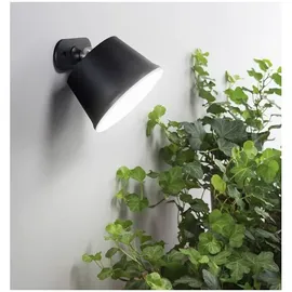 Fabas Luce Armanda Weiß