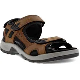 ECCO Offroad Herren espresso/cocoa 44