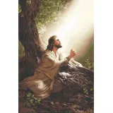 Luca-S Kreuzstich Stickpackung Gold Collektion Jesus Christus Zählmuster
