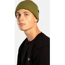 Reell Beanie grün