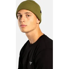 Reell Beanie grün