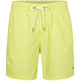 O'Neill Vert Swim Shorts Badehose, 12014 Sunny Lime, XL-XXL