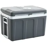 vidaXL Thermoelektrische Kühlbox Mobil 40 l