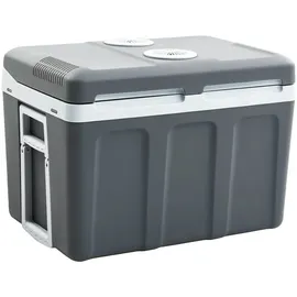 vidaXL Thermoelektrische Kühlbox Mobil 40 l