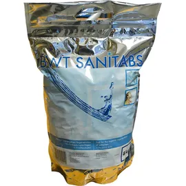 BWT Sanitabs Regeneriersalz 8 kg