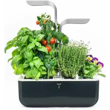 Veritable Smart Indoor Garten schwarz