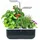 Veritable Smart Indoor Garten schwarz