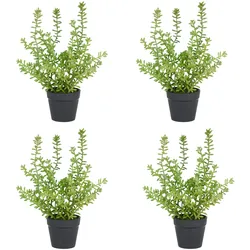 CREATIV green künstliche Pflanze Sedum acre Yellow Queen im Kunststofftopf, 27cm, grün, im 4er Set