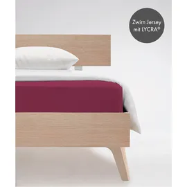 FLEURESSE Comfort 001117 Jersey 200 x 200 - 200 x 220 cm himbeere