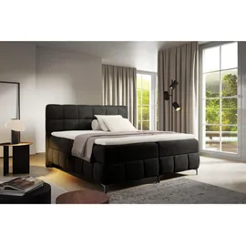 Fun Möbel Fun Moebel - Schwarz