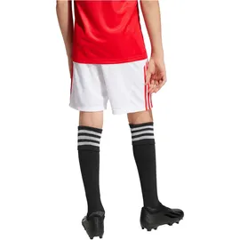 adidas Benfica Lissabon Heimshorts 2025/26 weiß Kinder Gr. 152