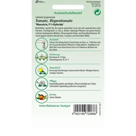 Samen Pfann Tomate, Maestria F1-Hybride - Tomatensamen von SAMEN Pfann